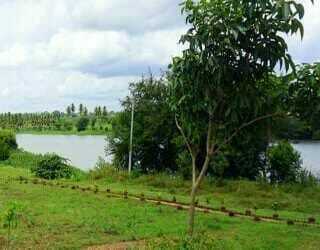 best yoga ashram in india
