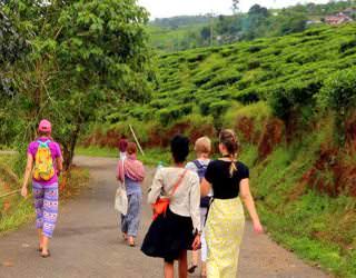 cultural travel in south india mysore kerala