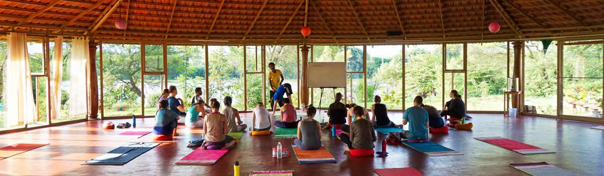 200 hour yoga teacher training india