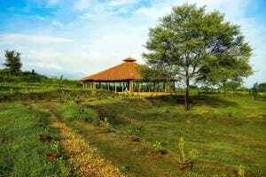 best yoga teachers in india