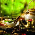 ayurvedic therapy