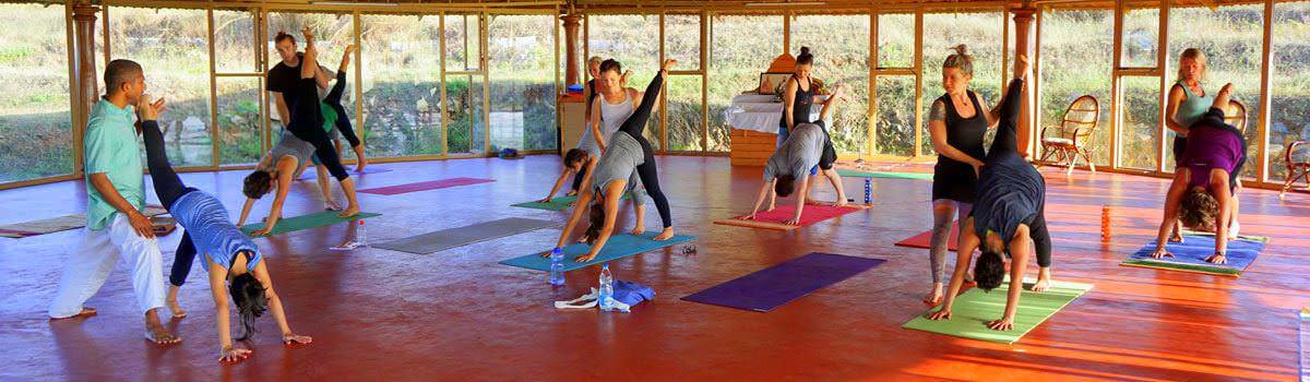 Yoga Teacher Training in India