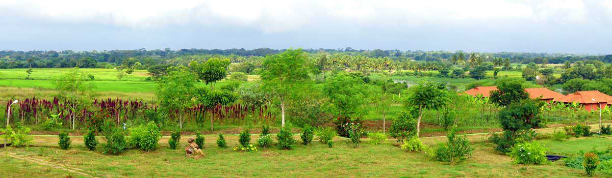permaculture india