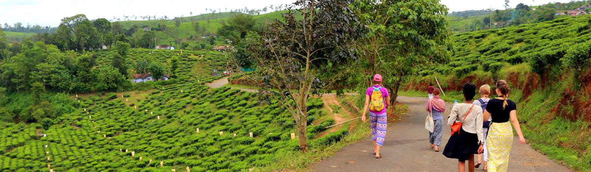 visit yoga ashram