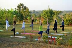 beginner yoga retreat india