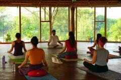 yoga teacher training certification