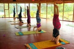 yoga teacher training india