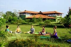 yoga teacher training