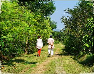 best yoga retreats in india