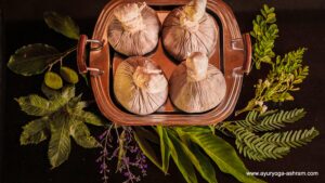 best Ayurveda treatments in India