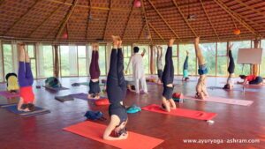 Best Yoga Teacher Training in India